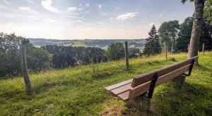 Hier können Sie sich auf Bänken hinsetzen und den Ausblick genießen. © Frederick Sams