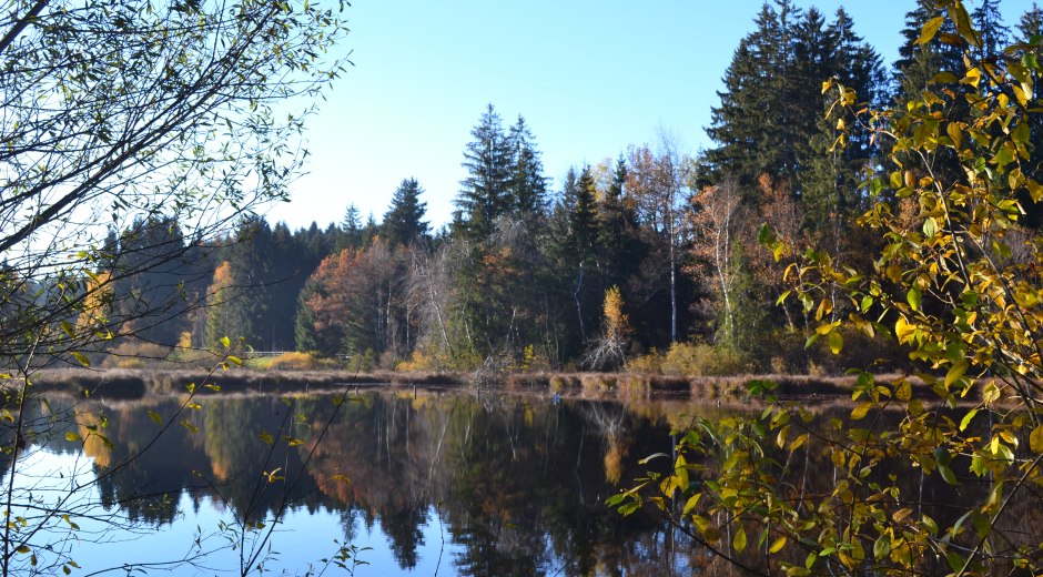 Waldsee in Lindenberg im Allgäu © Daniela Eger-Popp